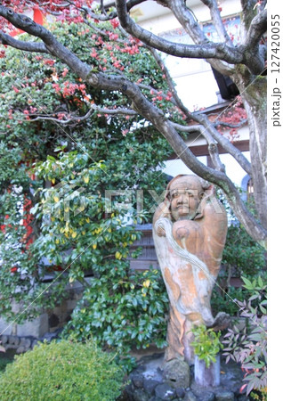 京都　だるま寺　法輪寺の紅葉 127420055