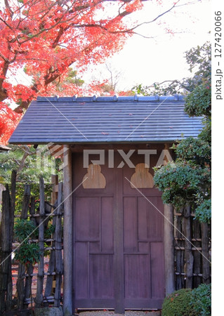 京都　だるま寺　法輪寺の紅葉 127420066