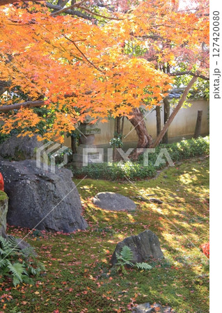 京都　だるま寺　法輪寺の紅葉 127420080