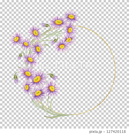 Half circular wreath made of purple asters on a fine gold ring. Wildflower circular card template Watercolor clipart suitable for logo design, product seals, or decorative badges on packaging 127420118