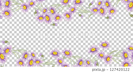 Dense cluster of violet asters with green leaves aligned in a floral band. Seamless border Watercolor clipart perfect for wrapping paper trims, branding materials, or fabric border designs 127420122