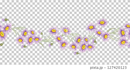 Purple flowers with yellow centers, asters with green stems in a loose horizontal arrangement. Seamless border Watercolor clipart for greeting card designs, wedding invitations, or stationery borders 127420123