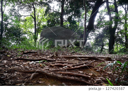 ロマンチック茨城(嘗て人々が救いを求めていた頃、ダイダラ坊が神宿る岩を担いで来た。)桜川市・巨人伝説 ロマンチック茨城(嘗て人々が救いを求めていた頃、ダイダラ坊が神宿る岩を担いで来た。)桜川市・巨人伝説 127420387