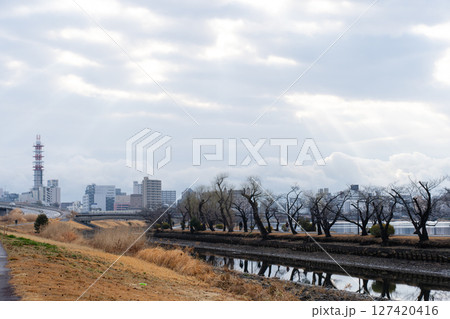 冬の朝の水戸の桜川と千波湖 127420416