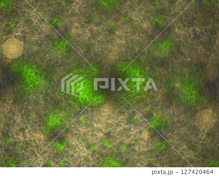 Imaginatory fractal abstract background Image Imaginatory fractal abstract background Image 127420464
