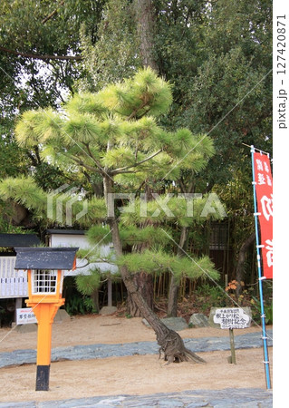 和歌山県の神社　玉津島神社と鹽竈神社 127420871