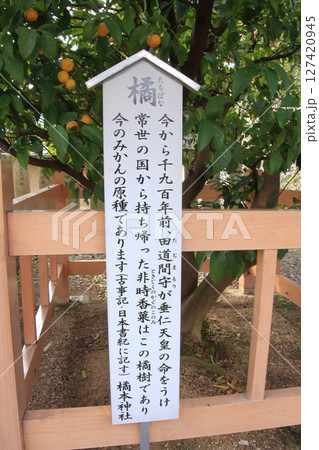 和歌山県和歌山市 みかんと菓子の橘本神社 和歌山県和歌山市 みかんと菓子の橘本神社 127420945