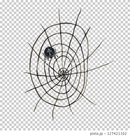 Black spider with white cross on its back sits in round web on white background 127421102