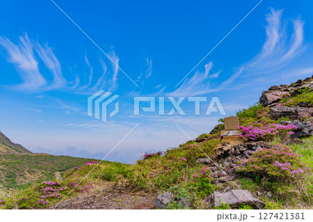 （熊本県）ミヤマキリシマが美しい、阿蘇山・仙酔峡（せんすいきょう） 127421381