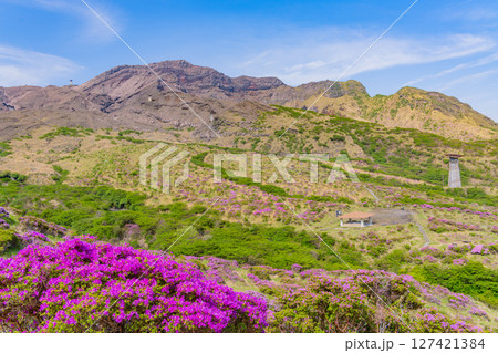 （熊本県）ミヤマキリシマが美しい、阿蘇山・仙酔峡（せんすいきょう） 127421384