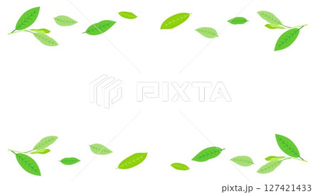 優しい葉っぱ緑色のライン線フレーム背景イラスト　茶葉　若葉　ベクターpng 127421433