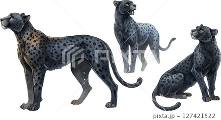 Three Black Cheetahs 127421522