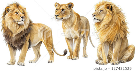Watercolor Lions 127421529