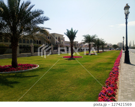 Scenic view of a road in Sharjah, United Arab Emirates, lined with tall palm trees and buildings in the background. The clean, well-maintained road reflects the city's blend of urban development. 127421569