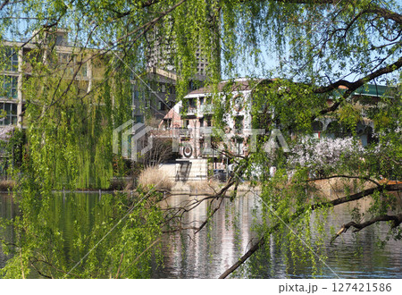 石神井公園 石神井公園 127421586