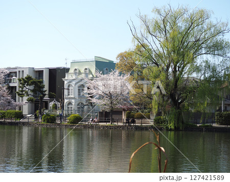 石神井公園 127421589