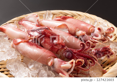 釜揚げ ヤリイカ 釜揚げ ヤリイカ 127421603