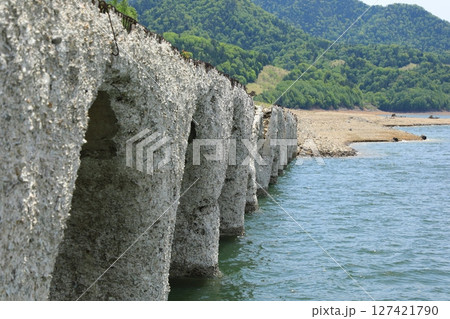 少しずつ自然に還るタウシュベツ川橋梁(日本 北海道) 少しずつ自然に還るタウシュベツ川橋梁(日本 北海道) 127421790