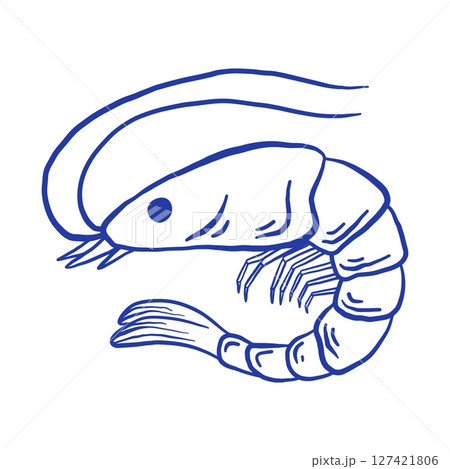 Hand drawn shrimp vector illustration. Doodle seafood isolated on white background. La dolce vita Italy retro style Hand drawn shrimp vector illustration. Doodle seafood isolated on white background. La dolce vita Italy retro style 127421806