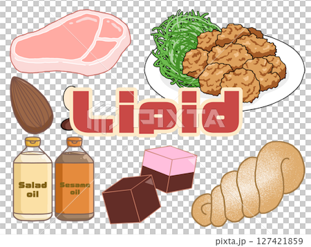 脂質插圖(英文字母,透明背景) 脂質插圖(英文字母,透明背景) 127421859