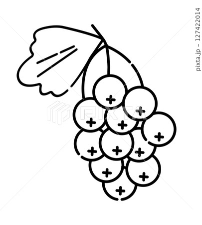 Bunch of currants black and white vector line icon 127422014