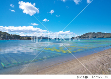 【五ヶ所湾の風景 (あおさのり養殖)】 三重県度会郡南伊勢町五ヶ所浦 127422040