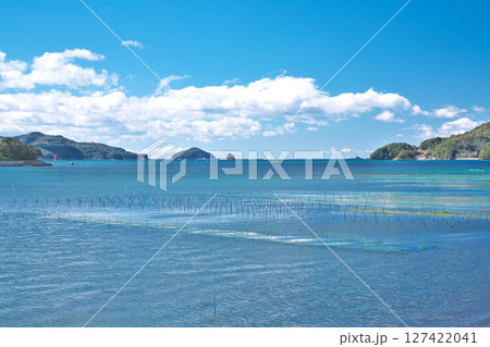 【五ヶ所湾の風景 (あおさのり養殖)】 三重県度会郡南伊勢町五ヶ所浦 127422041