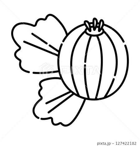 Gooseberry black and white vector line icon 127422182