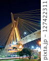 Cable-stayed bridge in Sao Paulo. 127422311