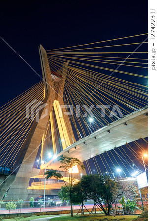 Cable-stayed bridge in Sao Paulo. 127422311
