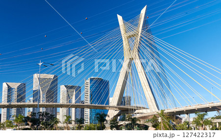Cable-stayed bridge in Sao Paulo. 127422317