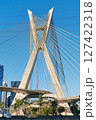 Cable-stayed bridge in Sao Paulo. 127422318