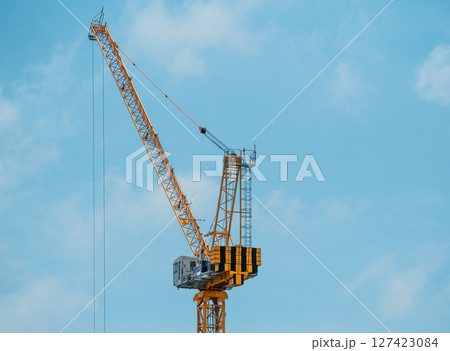 鶴 ツル つる 127423084