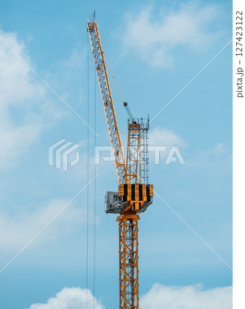 鶴 ツル つる 127423122