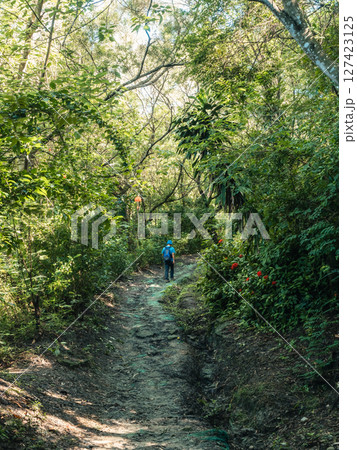 自然 天然 ナチュラル 127423125