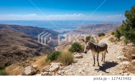 Donkey on mountain path overlooking majestic valley with clear blue sky. 127423482