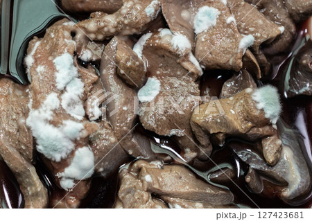 Raw pig liver having fungus molds some molds cause allergic reactions and respiratory problems. 127423681
