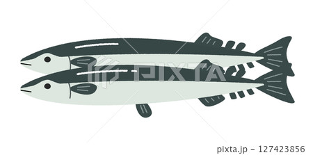 二尾のさんまのイラスト 127423856