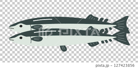 雙尾秋刀魚的插圖 127423856