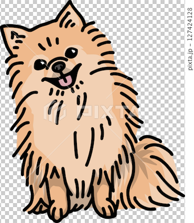 博美犬插畫色彩 博美犬插畫色彩 127424128