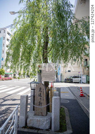 吉原遊郭　大門近くに残る見返り柳 127424204