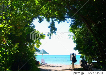 木陰の向こうはグレートバリアリーフ 127424501