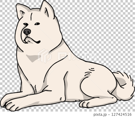 秋田犬　カラー　犬のイラスト 127424516