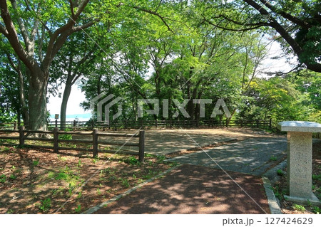 多聞山展望公園の景観 多聞山展望公園の景観 127424629