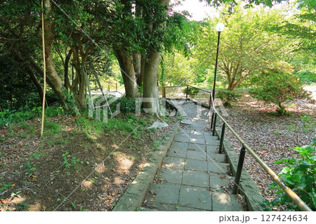 多聞山展望公園の景観 多聞山展望公園の景観 127424634