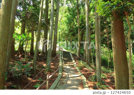 多聞山展望公園の景観 多聞山展望公園の景観 127424650