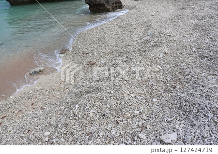 枝珊瑚が堆積した波照間島のサンゴの浜「ウラピナの浜」 枝珊瑚が堆積した波照間島のサンゴの浜「ウラピナの浜」 127424719