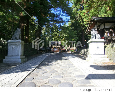 諏訪大社下社春宮の神楽殿(長野県諏訪郡下諏訪町) 諏訪大社下社春宮の神楽殿(長野県諏訪郡下諏訪町) 127424741