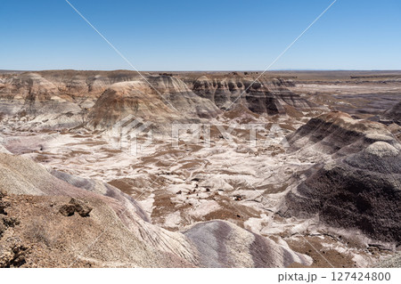 Expansive Desert Landscape Along Blue Forest Hike in Petrified Forest NP 127424800