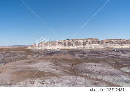 Expansive Desert Landscape Along Blue Forest Hike in Petrified Forest NP 127424814
